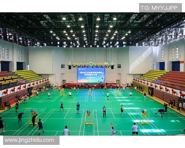 羽毛球的追梦之路：南京羽毛球队成长历程全景纪实